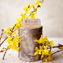 Load image into Gallery viewer, Organic Lip Balm - Vanilla - Life Before Plastik