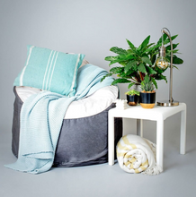 Load image into Gallery viewer, The Big Bean Bag Company The Bean Chair - Life Before Plastic