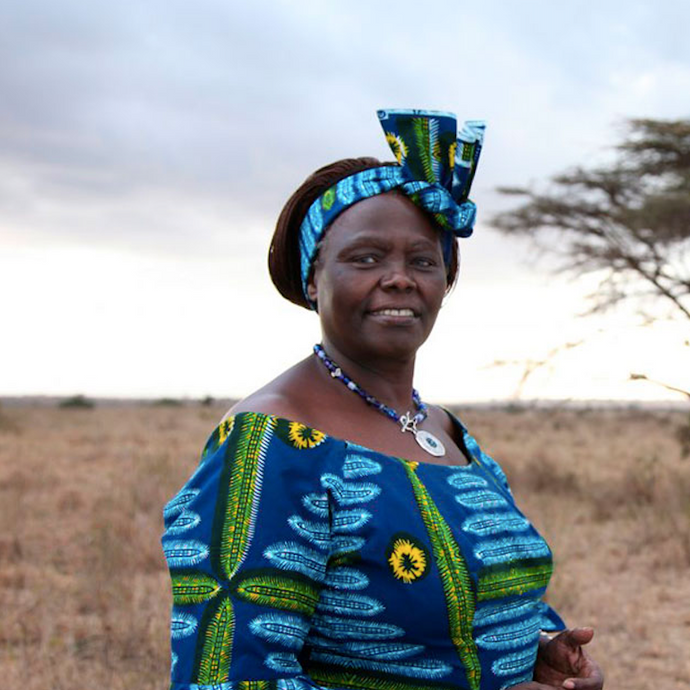 5 Black Environmentalists You Should Know