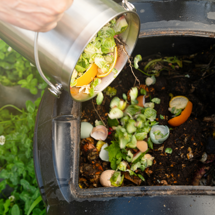 What You Should & Shouldn't Put in the Compost Bin