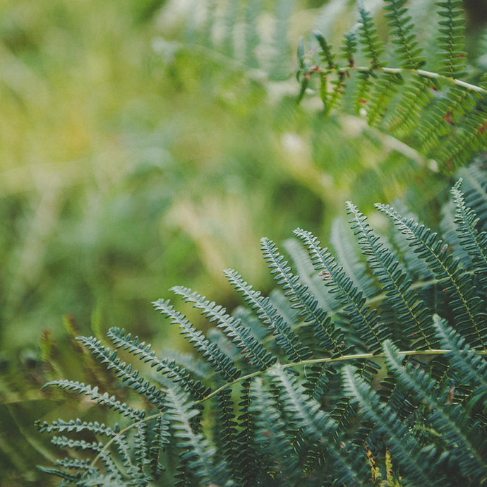A Guide to Eco-Labels & the Products You Buy