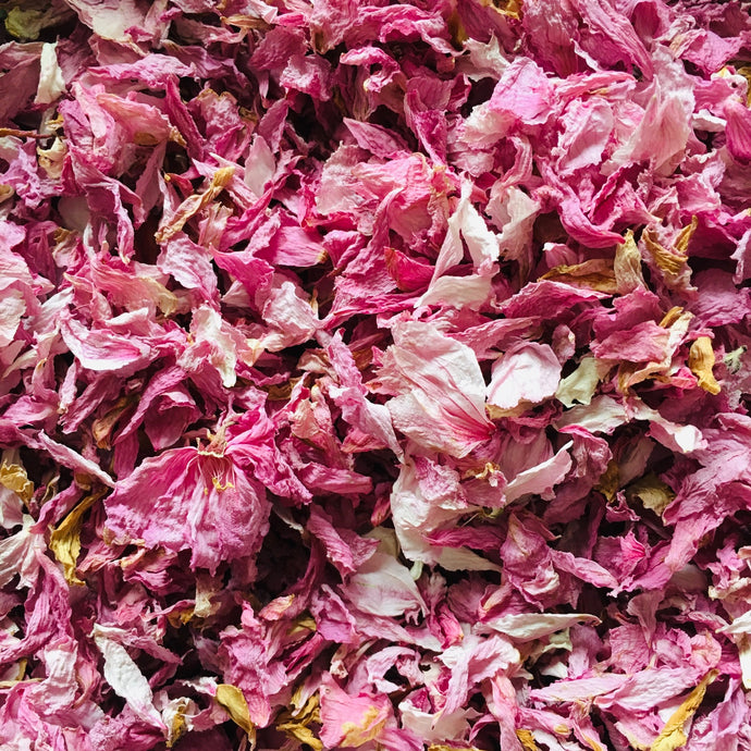 How To Make Your Own Natural Wedding Confetti
