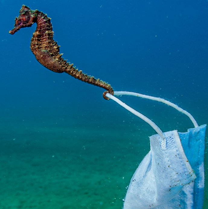 How We Can Help To Clean Up The World