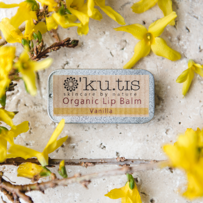 Why You Should Be Using Plastic-Free Lip Balms