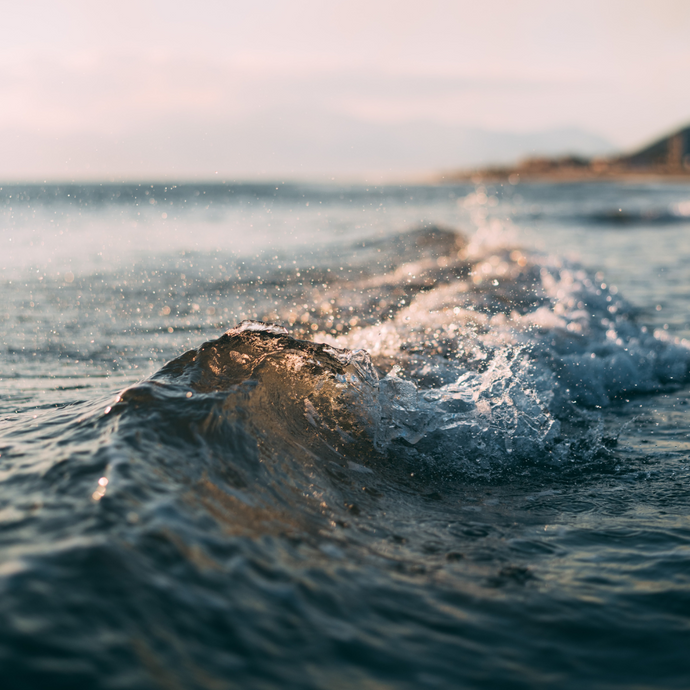 Good News Stories for the Environment