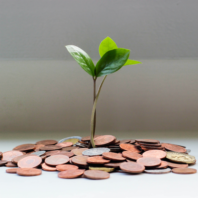 An Introduction to Greenwashing and How to Identify It