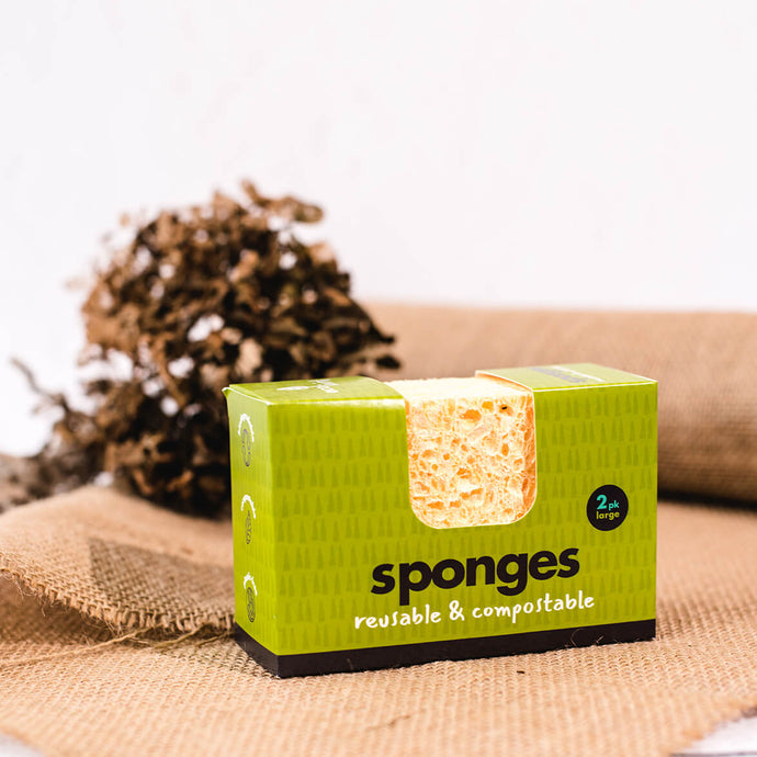 EcoLiving Compostable Sponge (2 Pack) - Large - Life Before Plastik